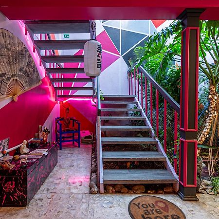 Casa Maguey Hotel Mexico City Exterior photo