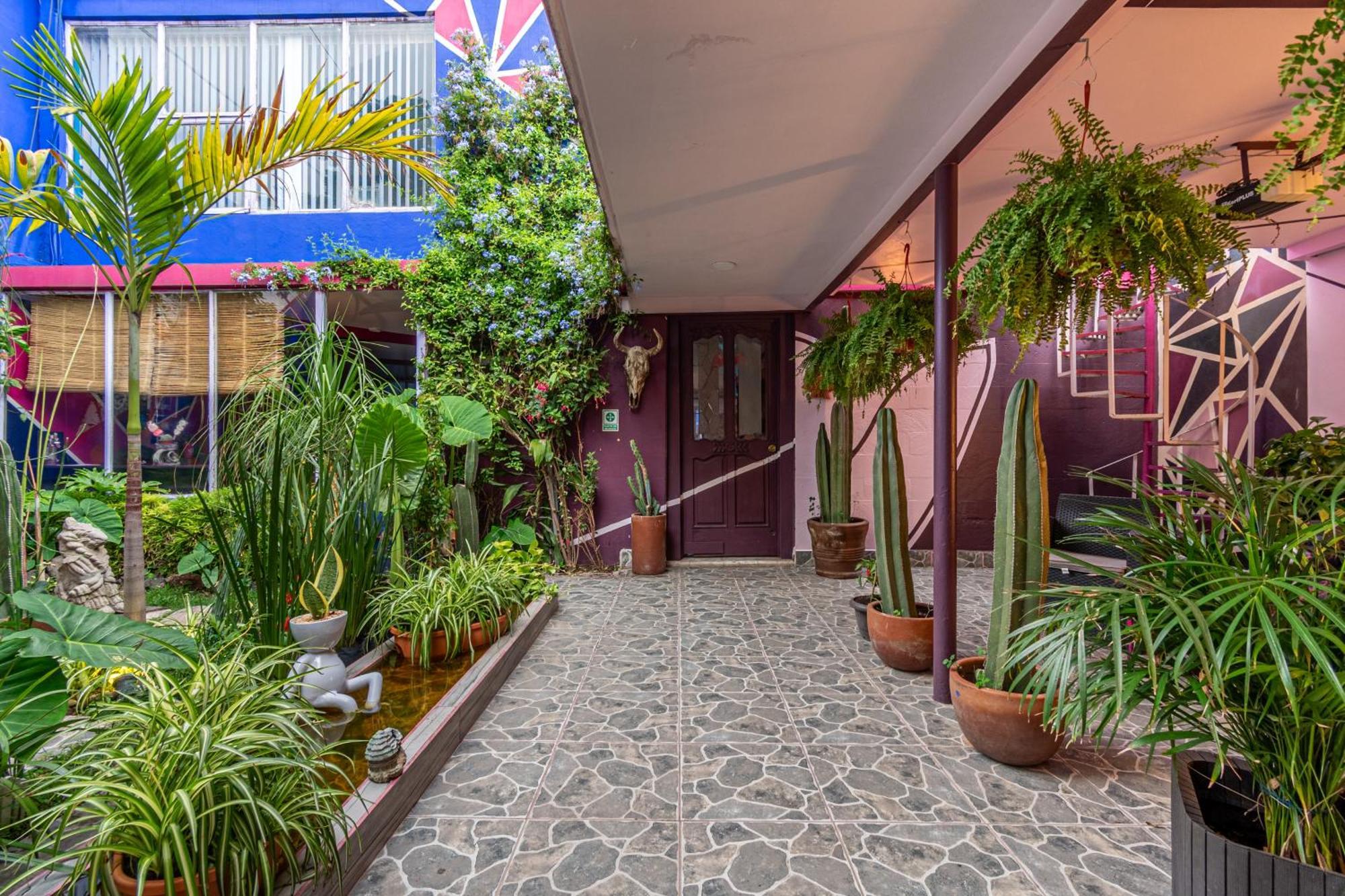 Casa Maguey Hotel Mexico City Exterior photo