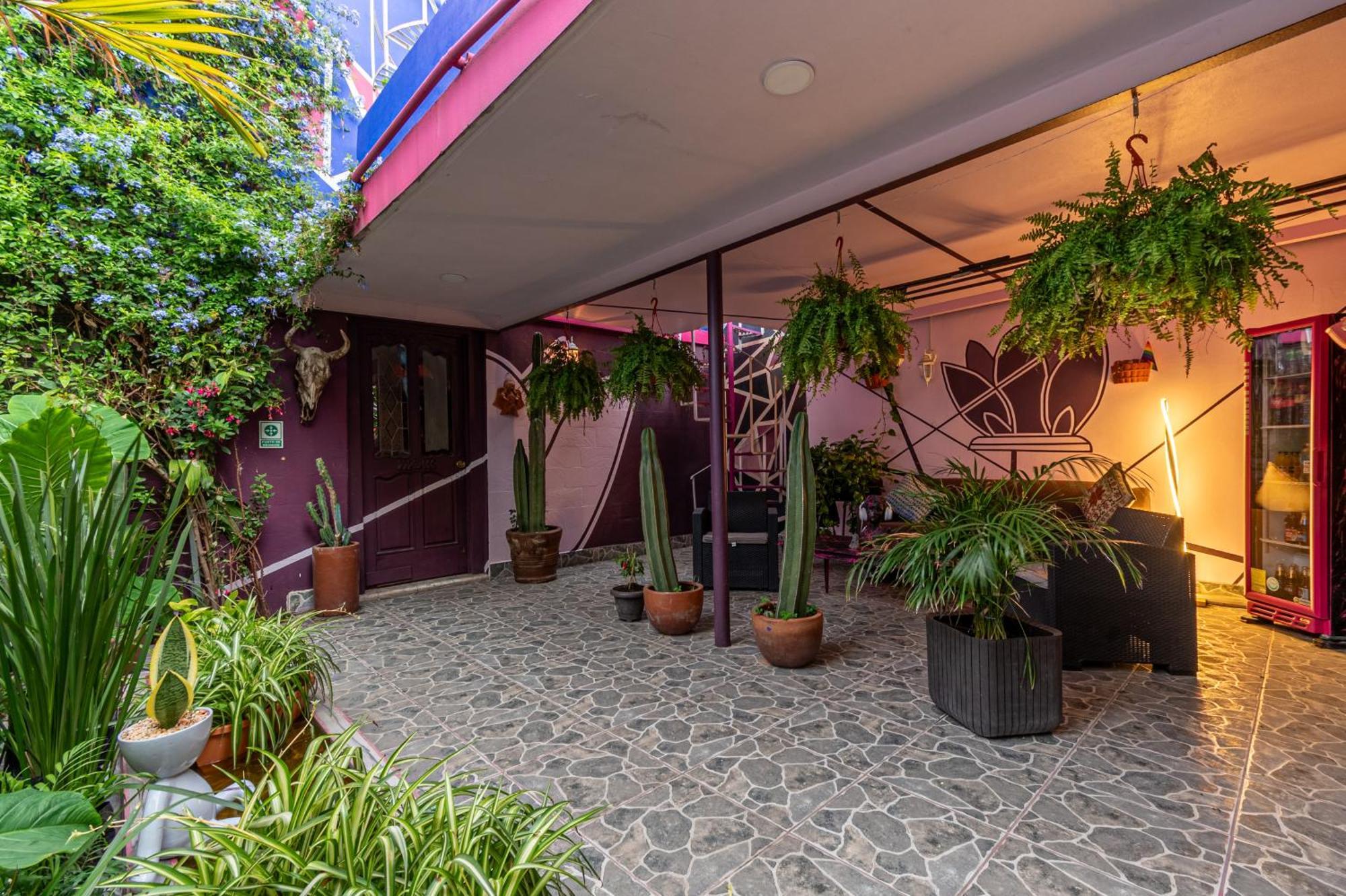Casa Maguey Hotel Mexico City Exterior photo